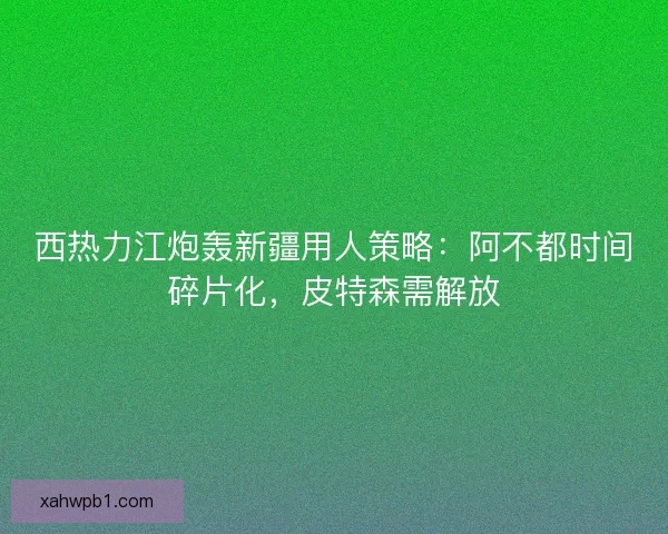 西热力江炮轰新疆用人策略：阿不都时间碎片化，皮特森需解放