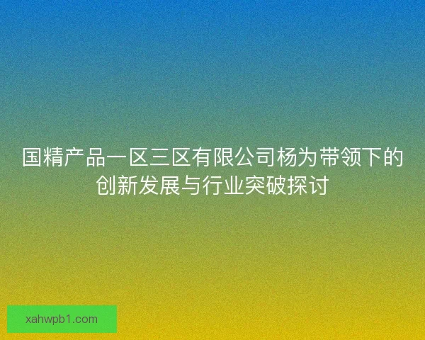 国精产品一区三区有限公司杨为带领下的创新发展与行业突破探讨