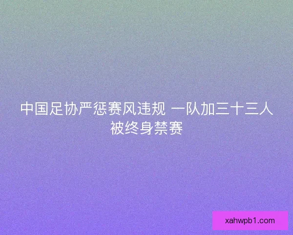 中国足协严惩赛风违规 一队加三十三人被终身禁赛